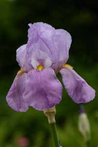 Image 103